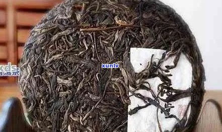 全面解析：如何判断普洱茶饼的品质，从外观到内质的鉴别 *** 一应俱全！