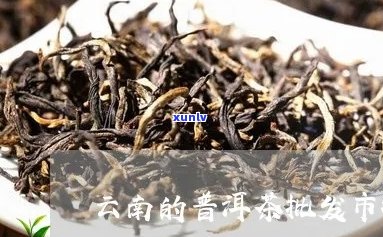 云南昆明普洱茶场：昆明优质普洱茶叶推荐与购买指南