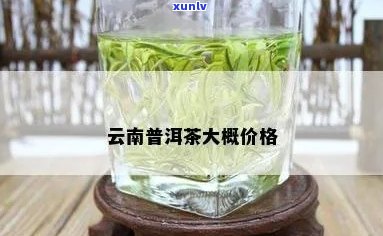 昆明市普洱茶多少钱