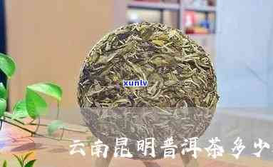 昆明市普洱茶多少钱