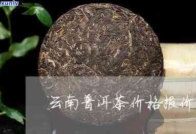 昆明市普洱茶多少钱