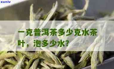 一块普洱茶用多少水