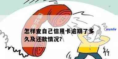 怎么查自己信用卡逾期多久？