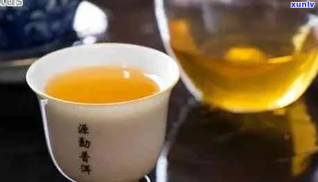 普洱茶：是浓茶还是淡茶？如何区分普洱茶的浓淡程度？