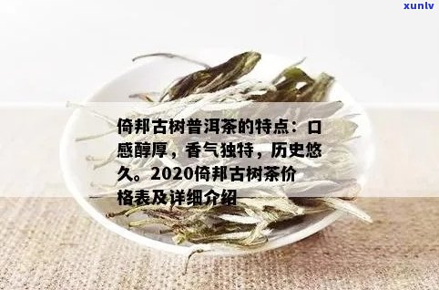 倚邦古树茶全系列价格解析：从入门级到高端品质，一目了然！