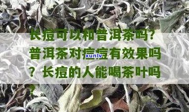 长痘能不能喝普洱茶