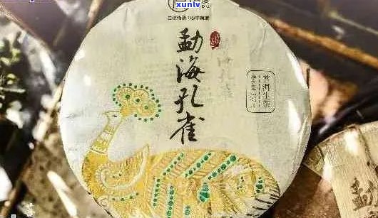 大益茶四星雀：一款融合普洱与雀之美的独特茶品