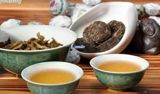 喝普洱茶能吃b6吗