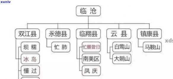 普洱茶六大茶山江内