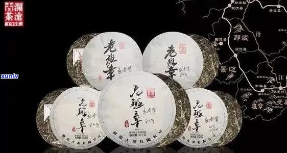 云南勐海老班章普洱茶：品质越，家寨传统独特风味解析