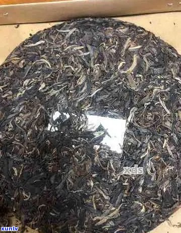 普洱茶压饼后快速干燥技巧：如何让普洱茶迅速风干？