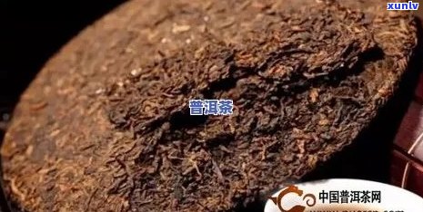 普洱茶压饼后晾干需要多久：恢复香气与品饮时间全解析