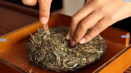 普洱茶压饼后怎么干