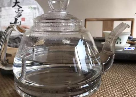 普洱茶中叶片状的品种及其特点：全面解答关于叶片式普洱茶的一切