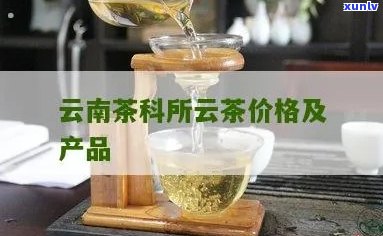 云南茶科所云茶05年价格与品质分析及相关产品评价