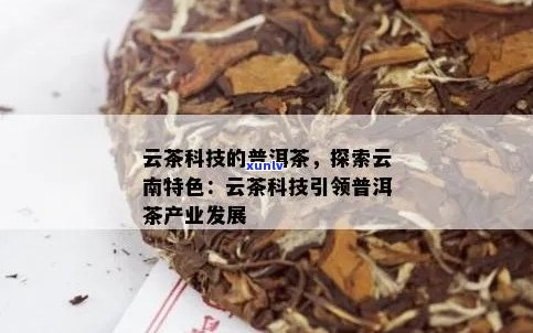 云科所普洱茶怎么样