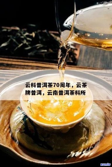 云科所普洱茶怎么样