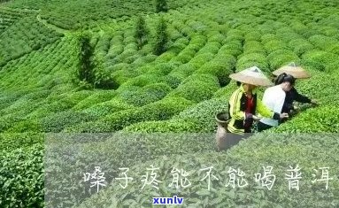 嗓子疼能渴普洱茶吗