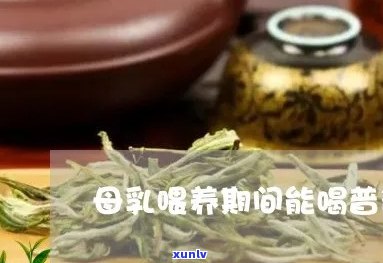 哺乳期能喝普洱茶马