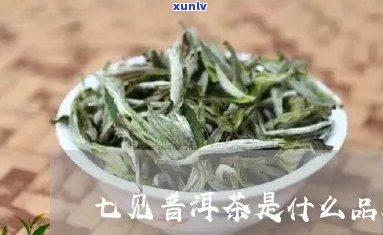 七见普洱茶是假的吗