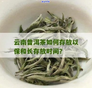 云南普洱茶保期探讨：如何长茶叶的美味持久度