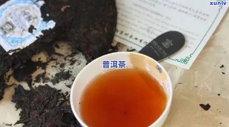 普洱茶熟饼泡法全解析：如何正确冲泡出美味的普洱熟茶？