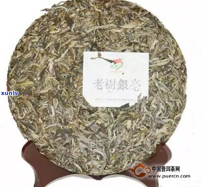 龙园号普洱茶旗舰店2019年春之一款精选茶叶：品质、产地与口感全面解析