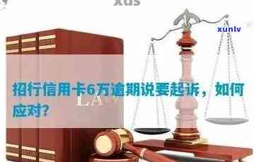 招商信用卡6万逾期后果：起诉与处罚全解析