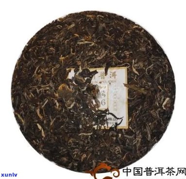 劲海老普洱茶价格表