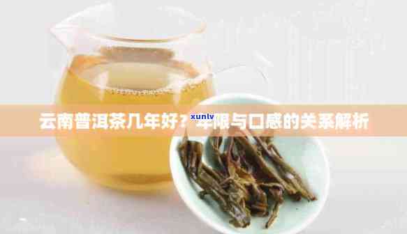 年份与口感：探究普洱茶好喝的关键因素