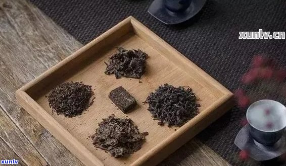 揭秘普洱茶品种中那些像木头一样的茶叶，你真的了解吗？