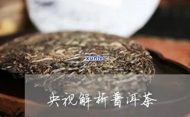 疆说普洱茶第4集