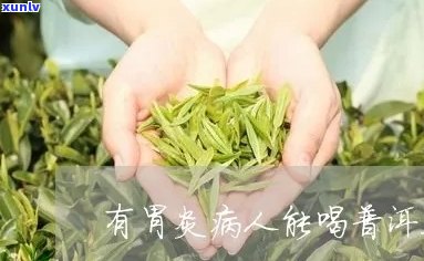 肠胃炎患者是否可以喝普洱茶？妙手医生给出答案