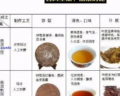 庆福祥小青柑铁罐茶：品种、产地、口感、功效及泡法全方位解析