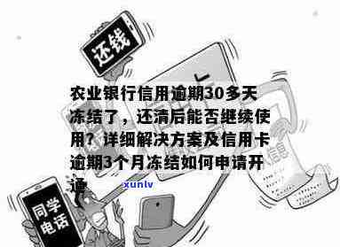 农业银行信用逾期后冻结，还清款项是否还能继续使用？如何解决逾期问题？