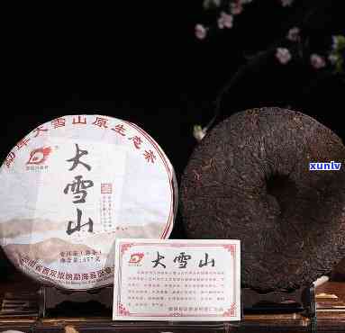 大雪山普洱茶熟茶357克：香醇口感，源自云南原生态古树之选