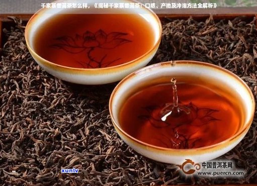 千家寨普洱茶生茶：品鉴与选购指南，了解产地、品质与泡法的全方位解析