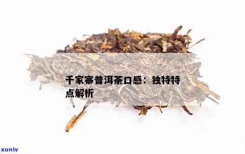 千家寨普洱茶生茶：品鉴与选购指南，了解产地、品质与泡法的全方位解析