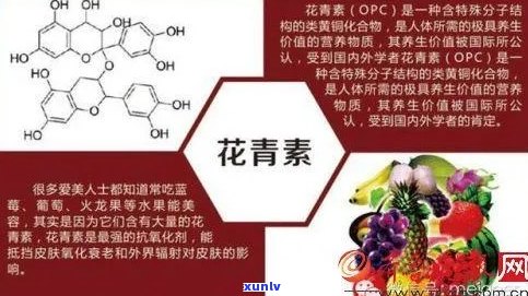 C型原花青素在普洱茶中的高品质营养与保健价值探讨