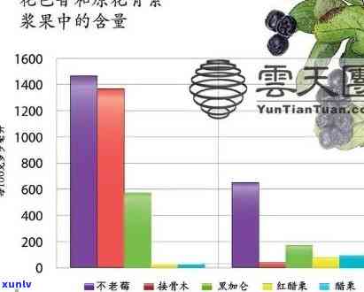 C型原花青素在普洱茶中的高品质营养与保健价值探讨