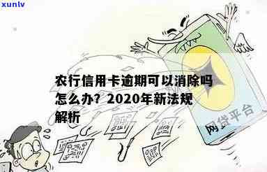 农行信用卡逾期可以分期吗？2020年新法规详解