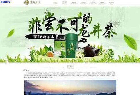 佳兆业茶业官网：探索茶叶的世界，品味生活的美好