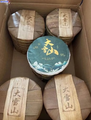 水木坊大雪山古树生茶：口感细腻，特色明，价值越