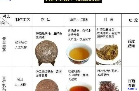 熟普洱茶的性味归经及功效：降脂、助消化，还具有抗氧化、抗衰老等作用。