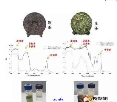 普洱茶是否含有致癌物质？了解其健影响和安全性