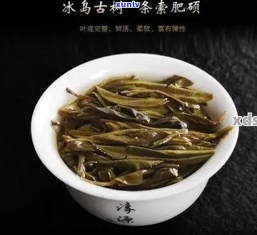 古树普洱茶条索瘦的特征及其品质影响因素探讨