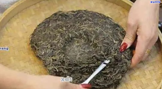 熟的普洱茶饼的泡法