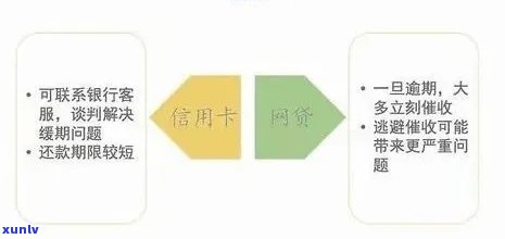 纽约信用卡逾期租房困境：如何解决还款问题？