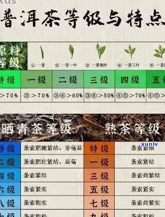 普洱茶那一种的品质特点及选购指南