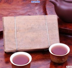 福鸿号1993专供普洱茶精选茶叶